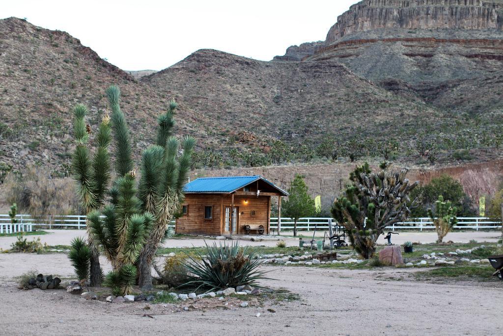 Grand Canyon Western Ranch Meadview Ngoại thất bức ảnh