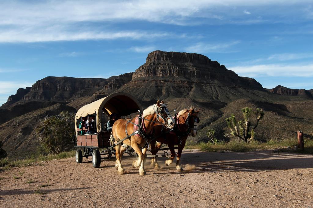 Grand Canyon Western Ranch Meadview Ngoại thất bức ảnh