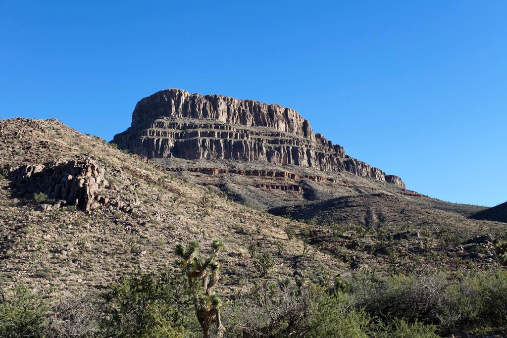 Grand Canyon Western Ranch Meadview Ngoại thất bức ảnh